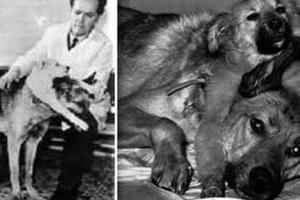 Tiết lộ trung tâm thử nghiệm y khoa tuyệt mật của Liên Xô cũ