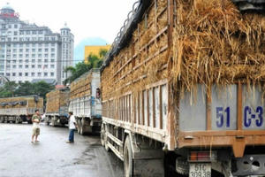 Đã đến lúc bỏ suy nghĩ “thị trường Trung Quốc là chợ biên giới”