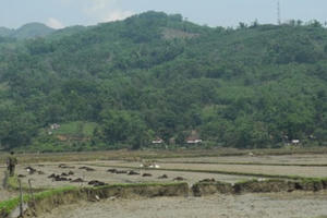 Yên Bái: Ba người trong một gia đình bị sét đánh tử vong Yên Bái: Ba người trong một gia đình bị sét đánh tử vong