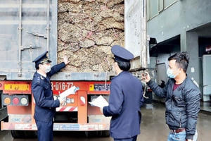 Kiểm tra thủ tục xuất nhập cảnh tại Cửa khẩu Quốc tế Cầu Treo chỉ mất 15 giây