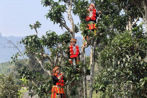 Xứ Tuyên, vùng đất giàu bản sắc dân tộc
