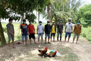 An Giang: Triệt xóa tụ điểm đá gà ăn tiền giữa đồng trong đợt dịch