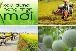 Tổ chức Phong trào thi đua “Cả nước chung sức xây dựng nông thôn mới” giai đoạn 2021 – 2025