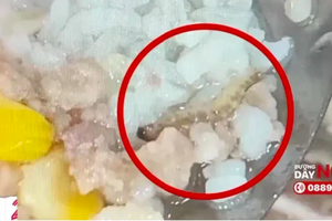 Phó thủ tướng yêu cầu Bộ Giáo dục kiểm tra, xử lý nghiêm vụ sinh viên ăn cơm canh thừa