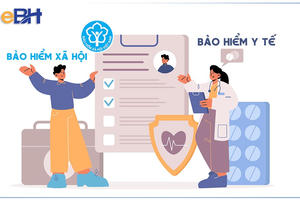 Quy chế hoạt động của Ban Chỉ đạo thực hiện chính sách bảo hiểm xã hội, bảo hiểm y tế