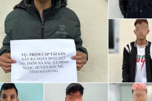 Hà Giang: Nhóm đối tượng trộm cắp hàng loạt xe máy sa lưới