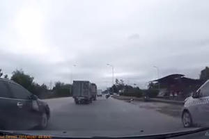 Hi hữu: Ra quốc lộ sợ đụng... bò