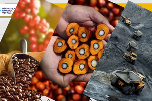 Thị trường hàng hóa nguyên liệu chìm trong sắc đỏ