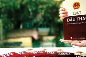 Nhà thầu phải cam kết gì trong đơn dự thầu?