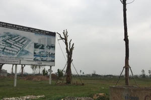 Cả trăm dự án bỏ hoang ở Hà Nội: Khi nào thu hồi?