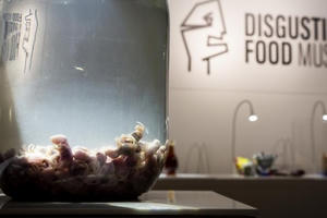 Rùng mình với những thức uống làm từ phân người, ủ trong bồn cầu ở Thuỵ Điển