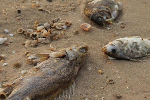 Những lời tâm huyết, hợp lòng dân