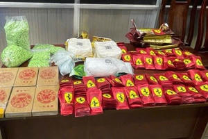 Công an Thành phố đã phát hiện, khám phá 2.400 vụ án ma túy trong 9 tháng đầu năm 2024