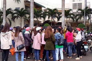 Huyện Krông Pắc lên tiếng sau sự việc hơn 500 giáo viên có nguy cơ mất việc