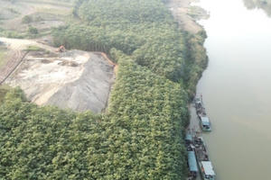 Chưa được cấp phép hoạt động bến thủy nội địa, Công ty Linh Nam vẫn rầm rộ hút cát lên bãi tập kết Chưa được cấp phép hoạt động bến thủy nội địa, Công ty Linh Nam vẫn rầm rộ hút cát lên bãi tập kết