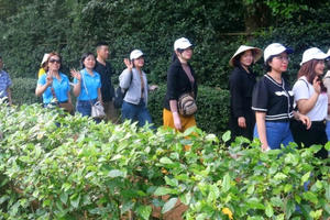 Du khách thập phương hành hương về quê Bác trong những ngày đầu Xuân Giáp Thìn