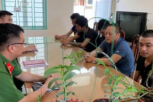 Biến tướng đa cấp, rửa tiền từ mua bán lan