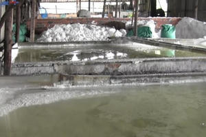 Cơ sở sản xuất muối gây ô nhiễm ở xã Tân Thới Nhì: Liệu chính quyền địa phương có bao che?