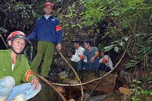 Nhiều tồn tại trong chi tiền dịch vụ môi trường rừng tại Quảng Nam