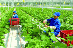 Năm 2050: Nông thôn không còn hộ nghèo, trở thành “nơi đáng sống”