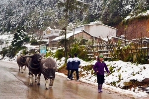 Miền Bắc đón đợt không khí lạnh mới, nhiệt độ có nơi dưới 7 độ C