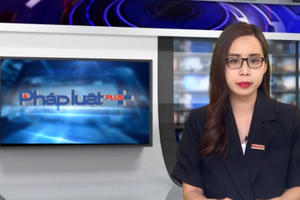 Chính sách mới nổi bật có hiệu lực từ tháng 5/2023