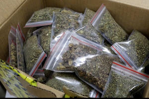 Công an tỉnh Quảng Ninh triệt phá đường dây mua bán gần 600 kg cần sa, khởi tố 26 đối tượng