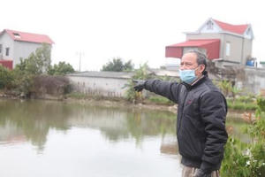 Bí ẩn bãi cọc gỗ ở Bắc Giang