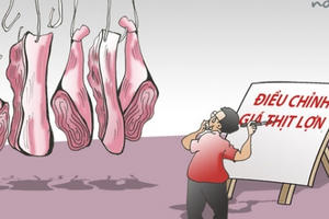 Làm sao để dân có thể mua thịt lợn với giá trên... tivi?