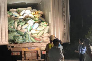 Mở xe tải phát hiện 30 tấn nội tạng động vật bốc mùi hôi thối