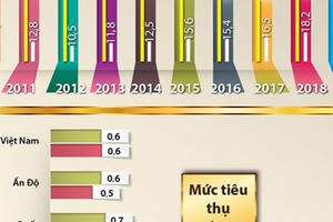 Người Việt mua 56 tấn vàng chỉ trong 1 năm qua