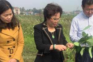 Cầu nối đưa nông sản Việt hội nhập quốc tế