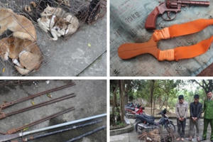 Nhóm “cẩu tặc” liều lĩnh dùng mác chém công an bị thương