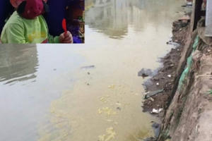 Đại học Y - Hà Nội: Vô tư xả phân tươi xuống sông Lừ cả ngày lẫn đêm?