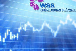 Công ty Cổ phần Chứng khoán Phố Wall: Tài khoản của nhà đầu tư bị phong tỏa không rõ lý do?