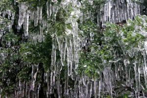 Nhiệt độ xuống mức âm, băng tuyết phủ trắng xóa đỉnh Mẫu Sơn