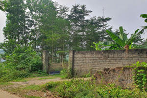 Quốc Oai: Cần xem xét tạm đình chỉ giải quyết vụ án “Hủy hoại tài sản” xảy ra tại Công ty TNHH Bình Minh