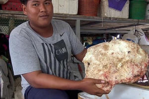 Vô tình nhặt được hòn đá lạ, nặng 7 kg, ngư dân trẻ vớ bẫm được cả "kho báu" tiền tỷ