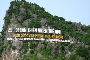 Rừng Phong Nha – Kẻ Bàng: Bị lùng sục để khai thác gỗ hương giáng