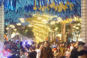 Người dân chen chân, thích thú tham quan đường hoa Nguyễn Huệ