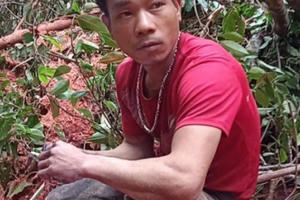 Đắk Lắk: Hai đối tượng rủ nhau vào rừng khai thác gỗ trái phép, bán kiếm tiền tiêu Tết