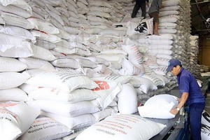 Chính phủ cấp xuất gần 21,5 nghìn tấn gạo hỗ trợ cho 1,4 triệu nhân khẩu