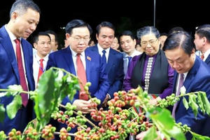 Chủ tịch Quốc hội Vương Đình Huệ dự khai mạc Lễ hội cà phê tại Sơn La