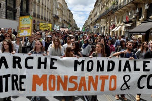 Dư luận quốc tế ủng hộ phán quyết của tòa án Mỹ với Monsanto