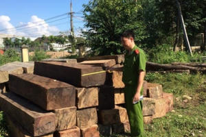 Quảng Nam: Gặp Công an, lâm tặc “bỏ của chạy lấy người”