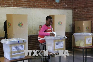Công bố kết quả chính thức cuộc bầu cử Zimbabwe