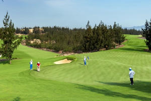 Giám đốc trung tâm du lịch Bình Định "hợp thức hóa văn bản" để cứu lãnh đạo nhưng bất thành