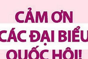 Chùm ảnh nóng: Cộng đồng người chuyển giới trên mạng vỡ òa sung sướng