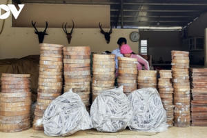 Ai tiếp tay buôn bán thớt gỗ nghiến trên đỉnh đèo Pha Đin?