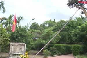 Tết độc lập đặc biệt trên quê hương Đại tướng